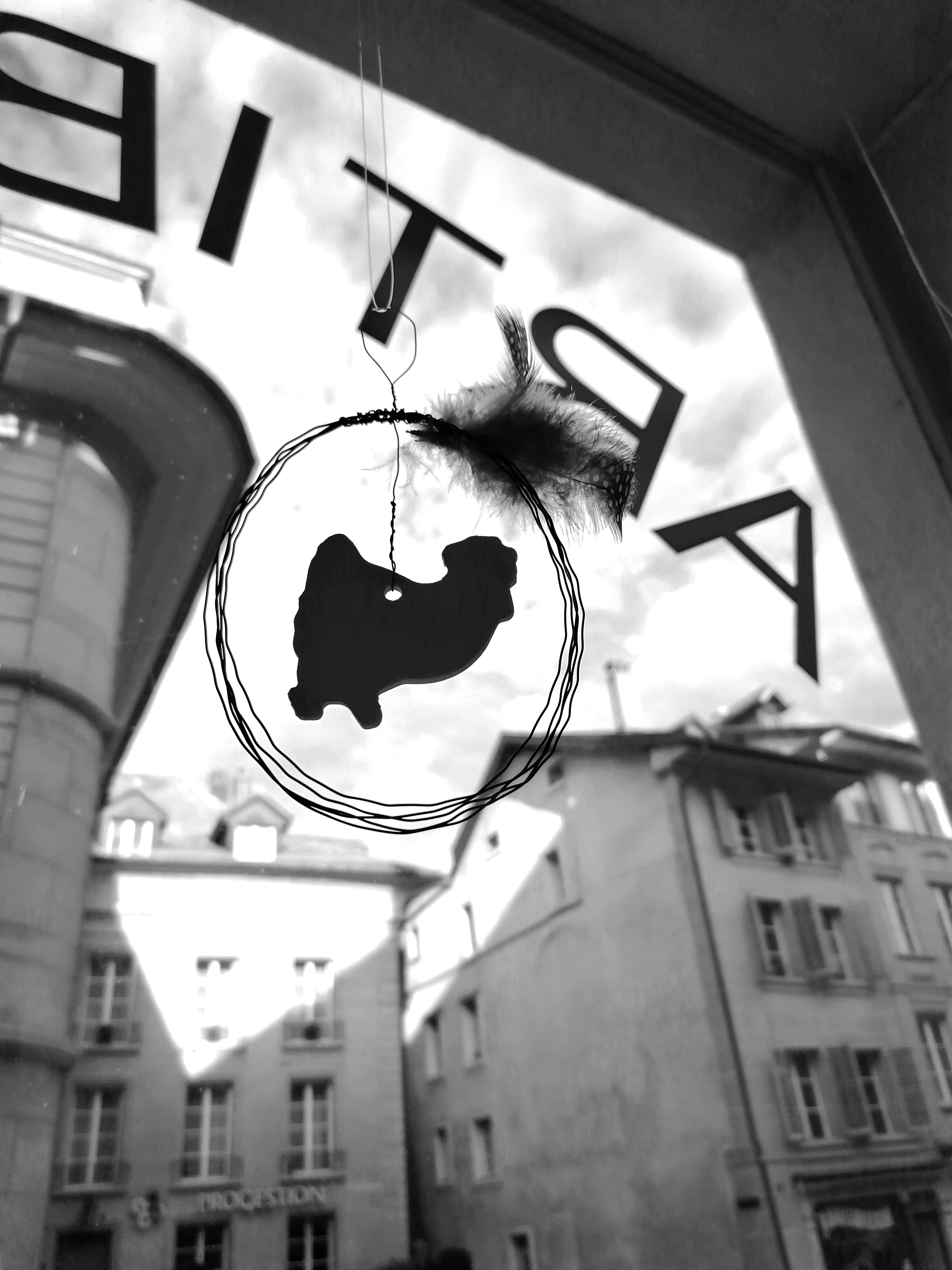 IMG_20230318_163057_edit_468148611907